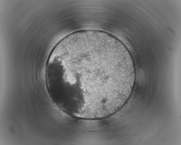 X0000114080856200910191541