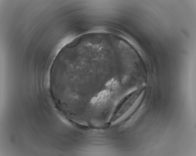 X0000114080858200910191541