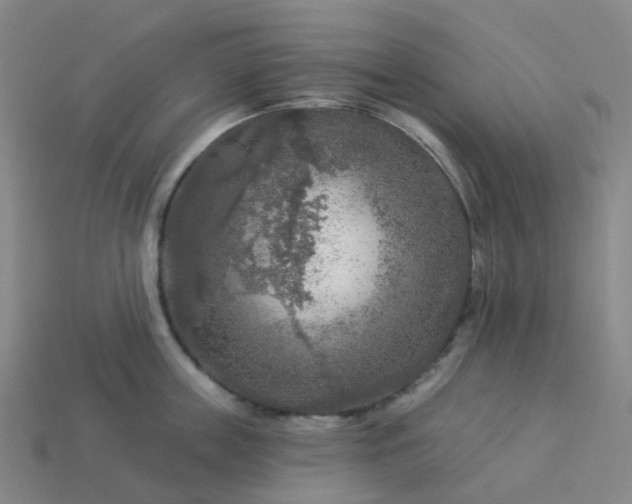 X0000114080859200910191541