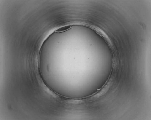 X0000114080860200910191541