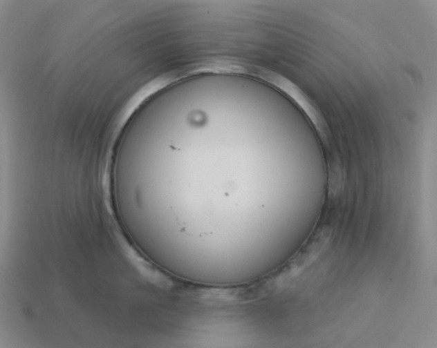 X0000114080861200910191541