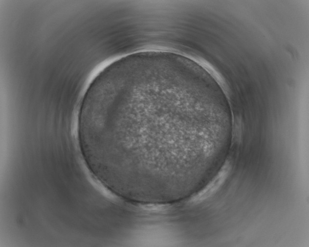 X0000114080862200910191541