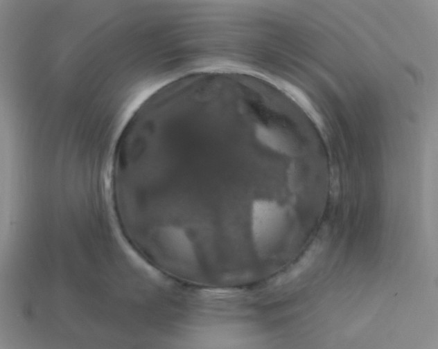 X0000114080863200910191541