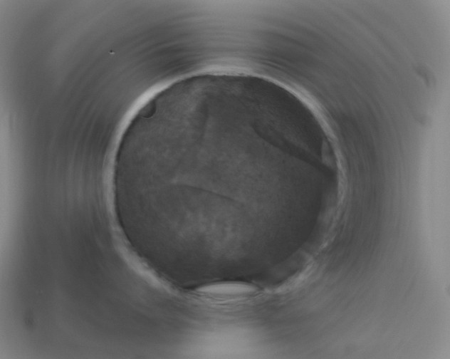 X0000114080864200910191541