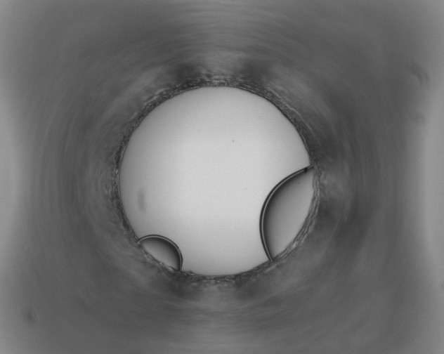 X0000114080865200910191540