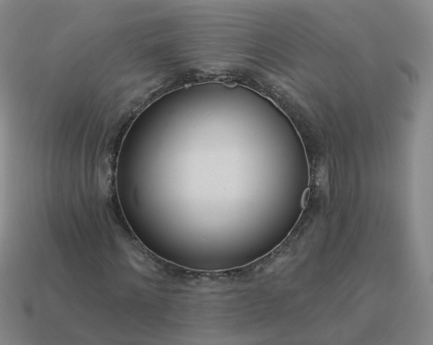 X0000114080868200910191540