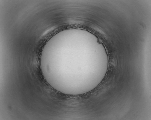 X0000114080869200910191540