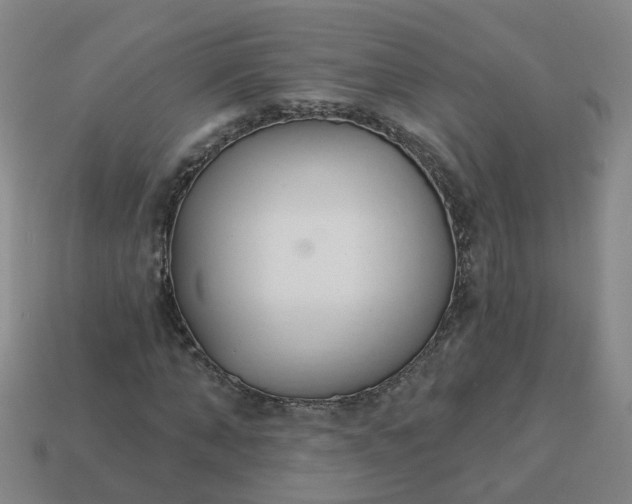 X0000114080870200910191540