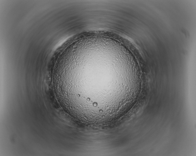 X0000114080871200910191540