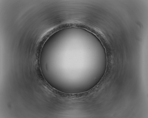 X0000114080872200910191540