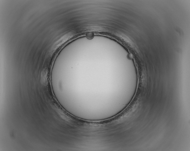 X0000114080873200910191540