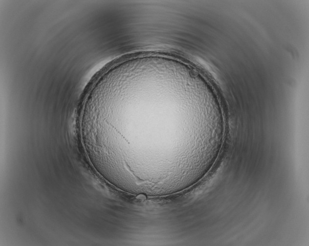 X0000114080875200910191540