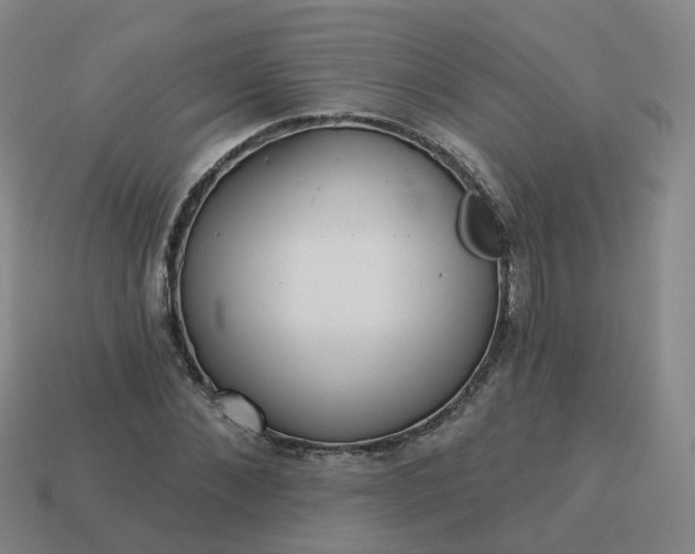 X0000114080876200910191540