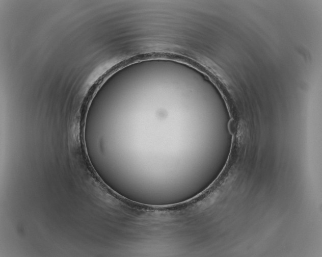 X0000114080877200910191540