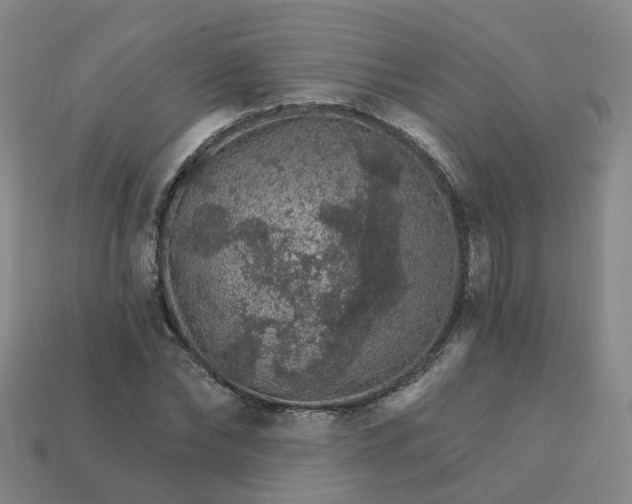 X0000114080878200910191540