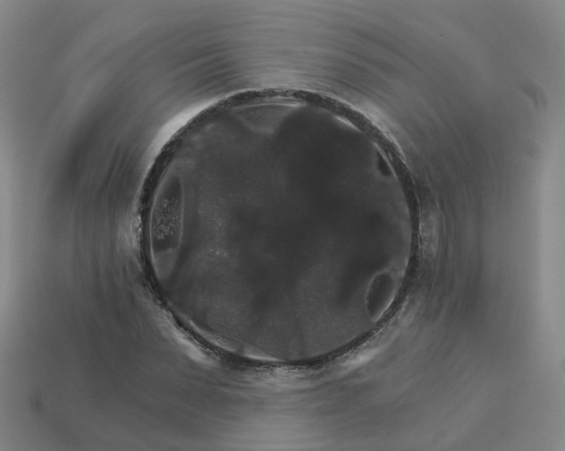 X0000114080879200910191540