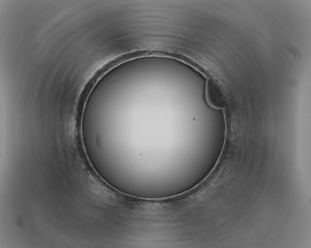 X0000114080880200910191540