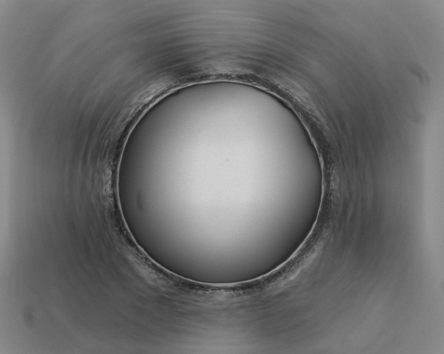 X0000114080881200910191540