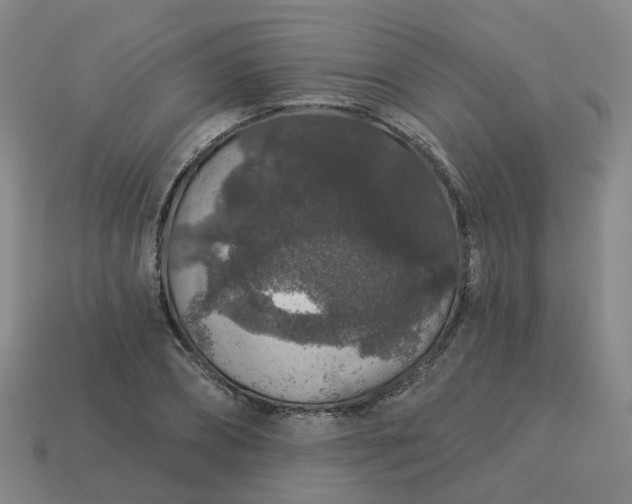 X0000114080882200910191540