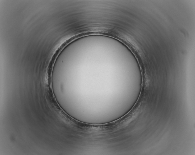 X0000114080883200910191540