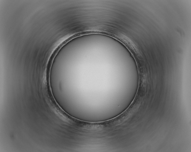 X0000114080884200910191540