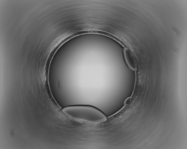 X0000114080885200910191540