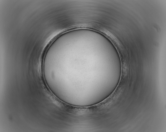 X0000114080886200910191540