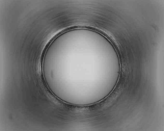 X0000114080887200910191540