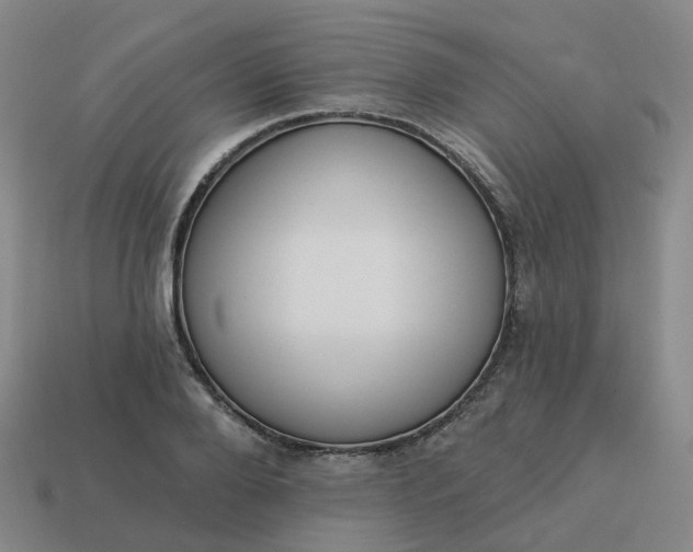 X0000114080888200910191540