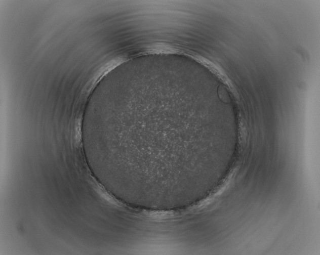 X0000114080889200910191540