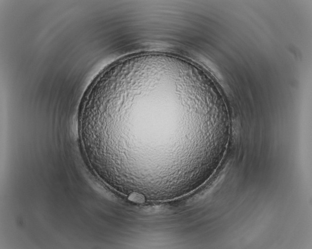 X0000114080891200910191540