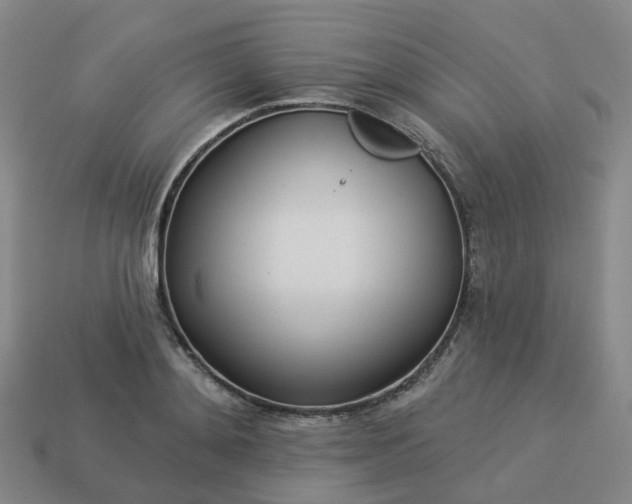 X0000114080892200910191540