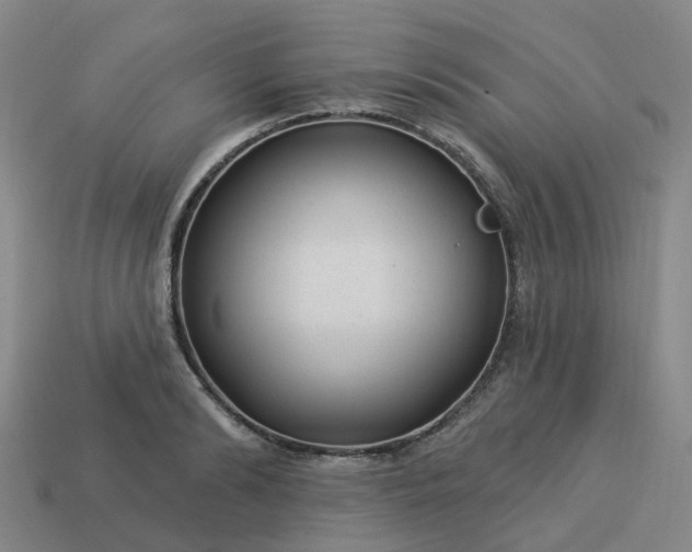 X0000114080894200910191540