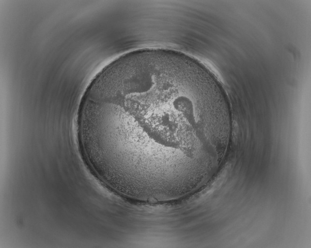 X0000114080895200910191540