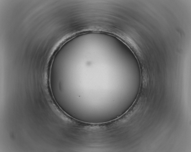 X0000114080896200910191540