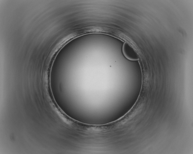 X0000114080898200910191540