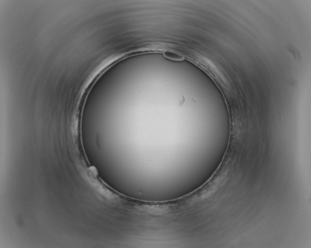 X0000114080900200910191540