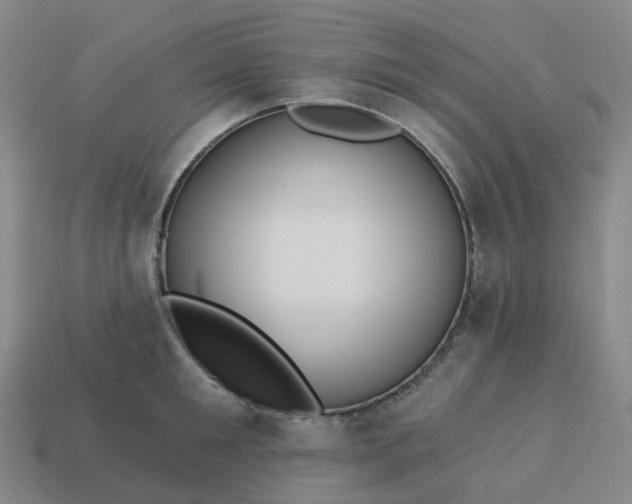 X0000114080901200910191540