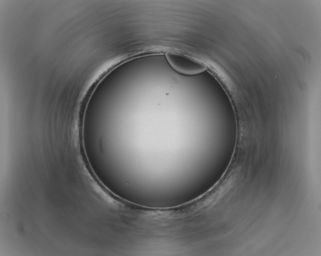 X0000114080902200910191540