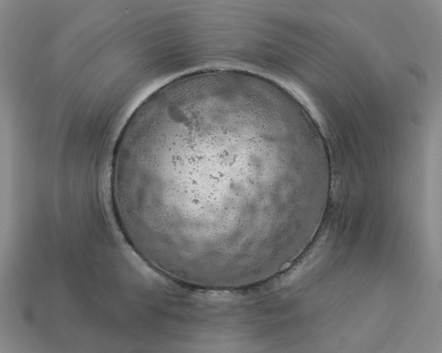 X0000114080903200910191540