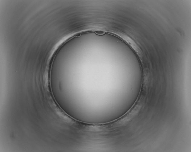 X0000114080904200910191540