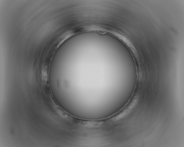 X0000114080905200910191540