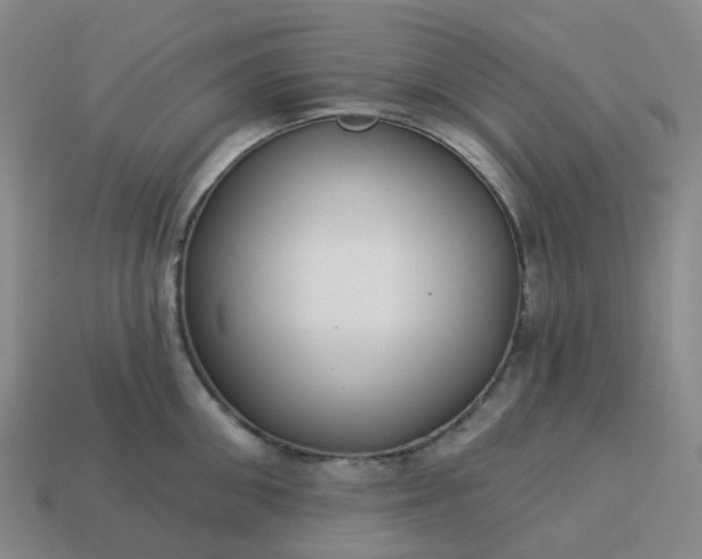 X0000114080906200910191540