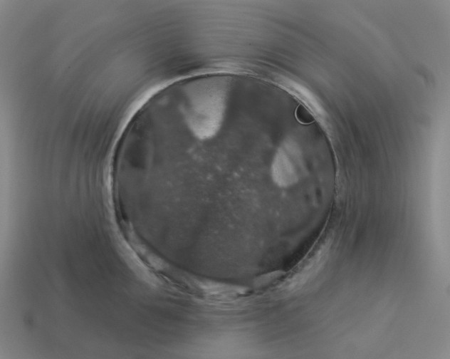 X0000114080907200910191540