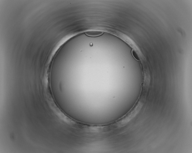 X0000114080908200910191540