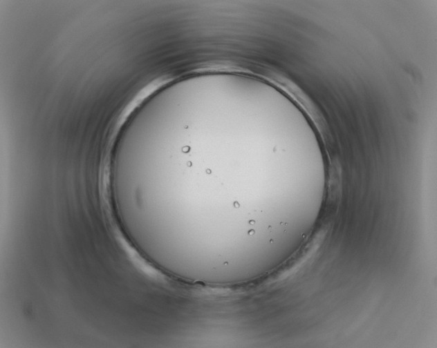 X0000114080909200910191540