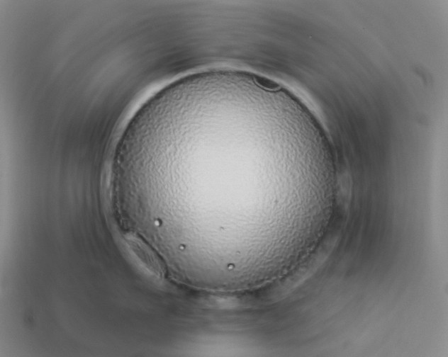 X0000114080911200910191540