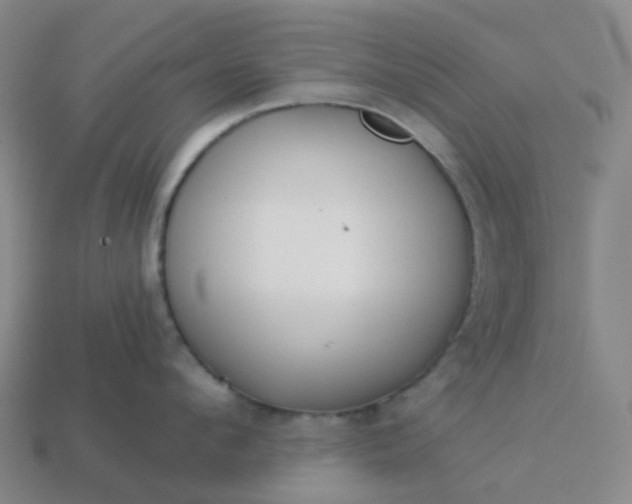 X0000114080912200910191540