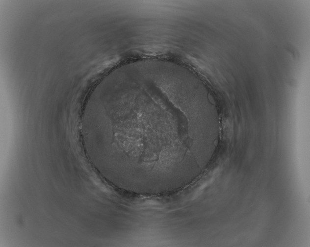 X0000114080913200910191539