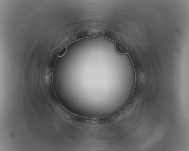 X0000114080914200910191539